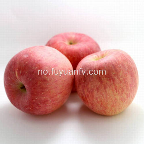 Ny Crop Fresh Billige Qinguan eple (64-198)